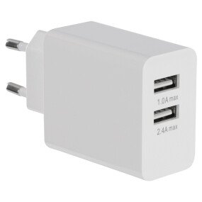 QL Thuislader Duo 230V 5V afbeelding