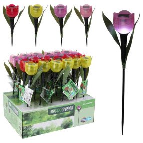 Solarlamp Tulp 30cm afbeelding
