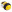 Bee Kussen afbeelding