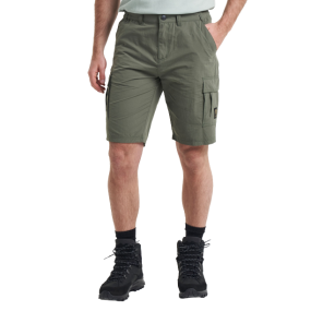 Thad Shorts afbeelding