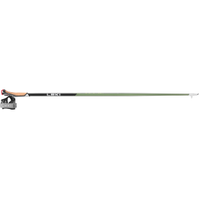 Flash Carbon Wandelstok afbeelding