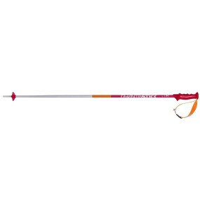 Phantastick 2 Skistokken afbeelding