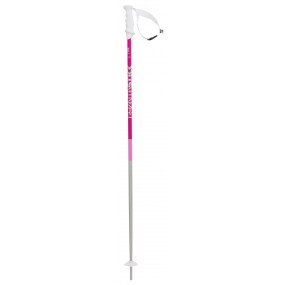 Phantastick Wms skistok afbeelding