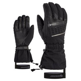 GASTIL GTX Glove Ski Alpine afbeelding