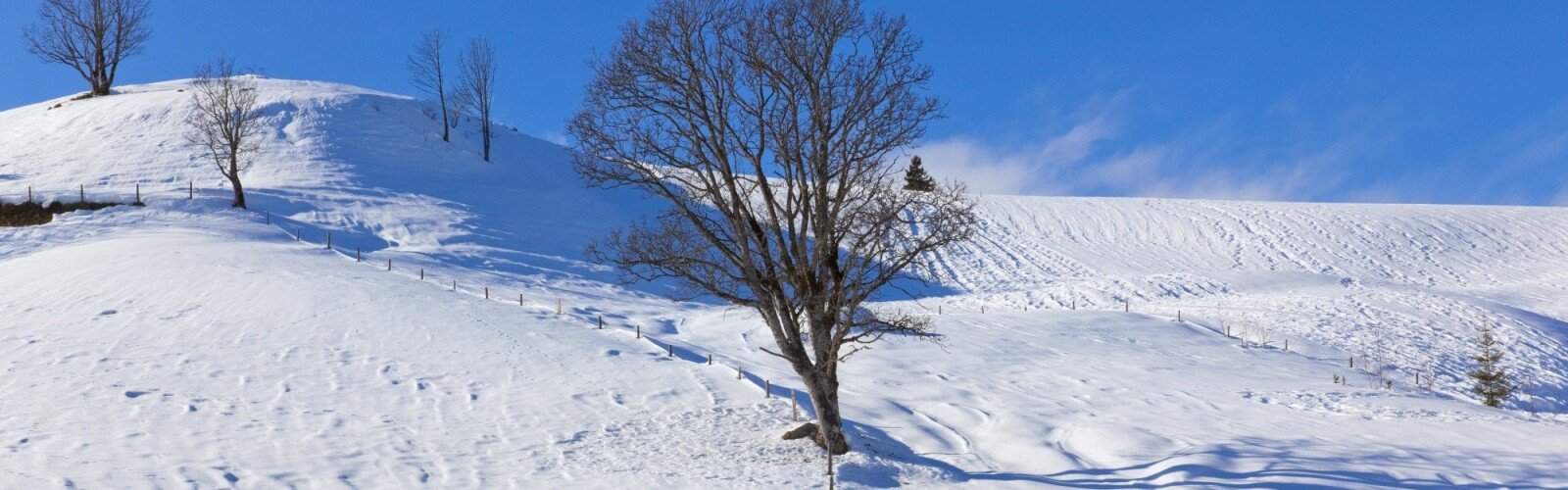 AdobeStock 191636594