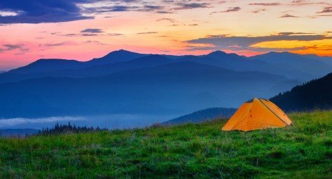 AdobeStock 295384146