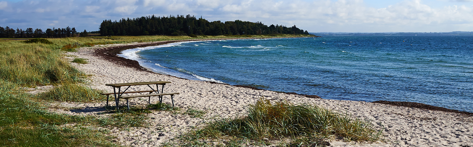 coast denmark