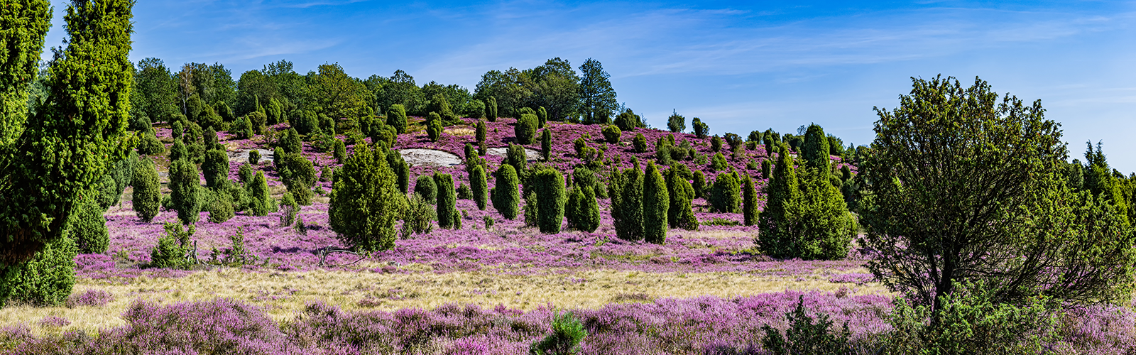 nedersaksen landscape