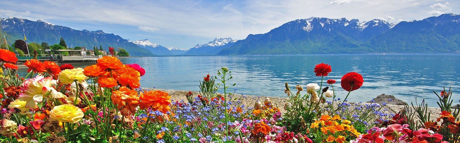 swiss flowers