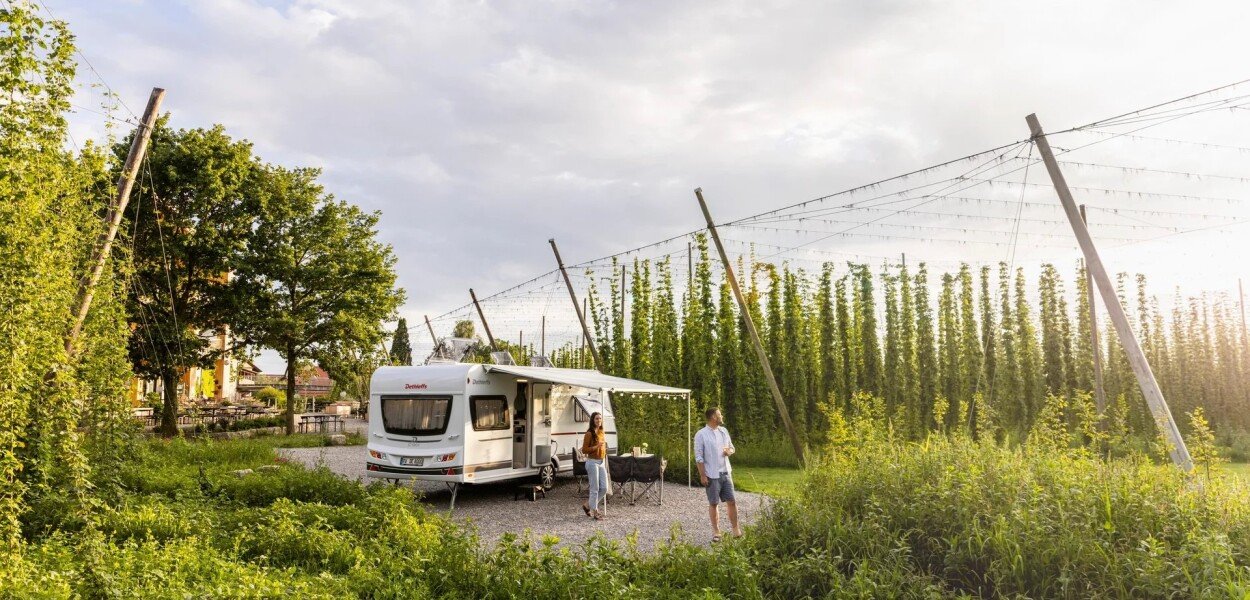 det cgo active 171 hopfen ret 073025