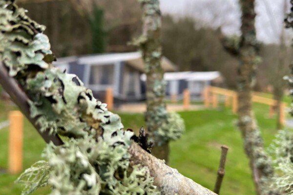 1600px COLOURBOX53570061