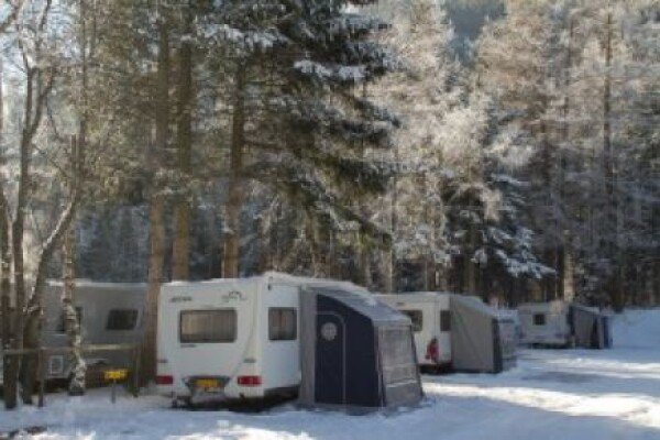 WL 110101 217 300x199