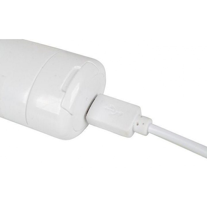 080000211 3 afbeelding