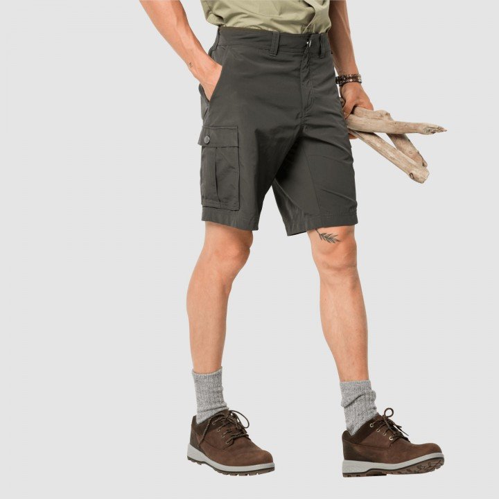 Canyon Cargo Shorts afbeelding