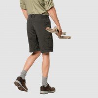 Canyon Cargo Shorts afbeelding