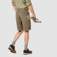 Canyon Cargo Shorts afbeelding