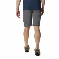 Silver Ridge II Cargo Short Men afbeelding