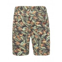 TIMMEN Shorts afbeelding
