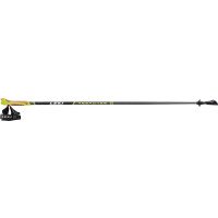 Response Nordic Walking Stok afbeelding