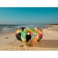 Tropical Kahuna Balletje 2002963 500020084 1 afbeelding