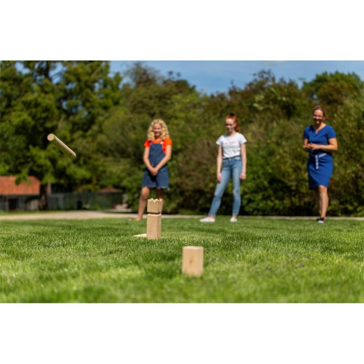 500000009 4 afbeelding