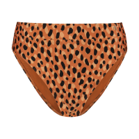 Bikini Broek Hight Waist Leopard afbeelding