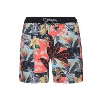 PRTLOCKLAN Beachshort afbeelding