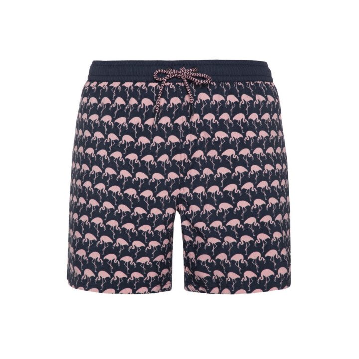 PRTOHLANDER Beachshort afbeelding