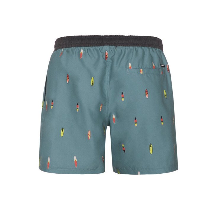 PRTFIRDOWS Beachshort afbeelding