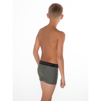 513040118 3 afbeelding