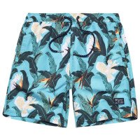 Vintage Hawaiian Swimshort afbeelding