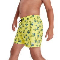 Eco Printed 13 Zwembroek Boys afbeelding