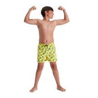 Eco Printed 13 Zwembroek Boys afbeelding