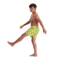 Eco Printed 13 Zwembroek Boys afbeelding