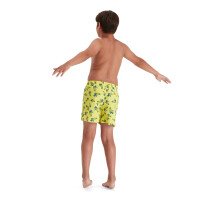 Eco Printed 13 Zwembroek Boys afbeelding