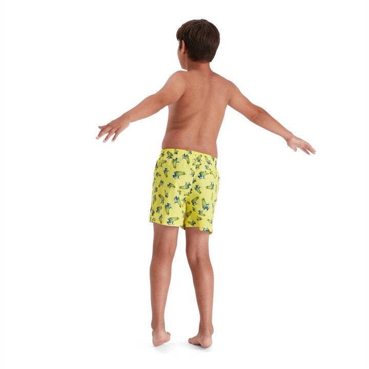 Eco Printed 13 Zwembroek Boys afbeelding