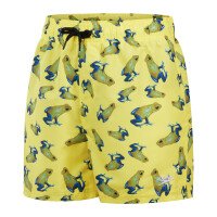 Eco Printed 13 Zwembroek Boys afbeelding