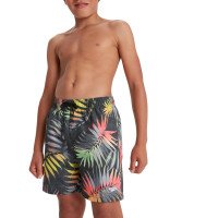 Eco Printed 15 Zwembroek Boys afbeelding