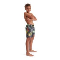 Eco Printed 15 Zwembroek Boys afbeelding