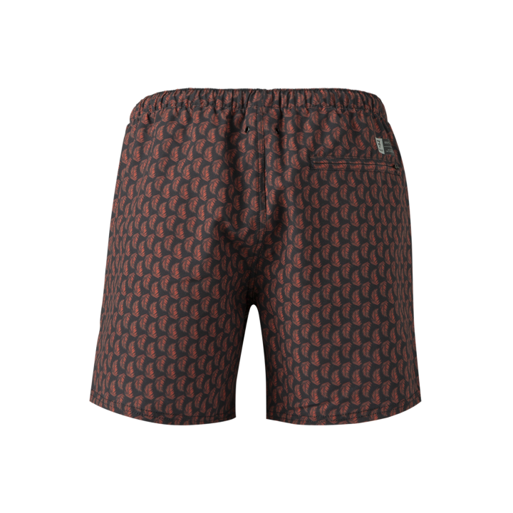 Roshan Men Swimshort afbeelding