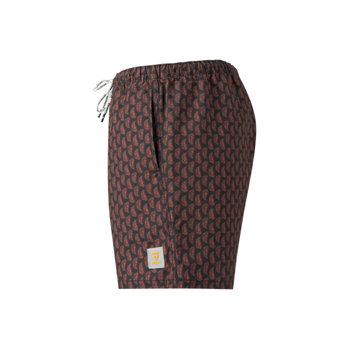 Roshan Men Swimshort afbeelding
