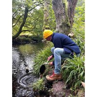 410020614 1 afbeelding