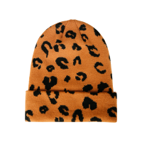 Courchevel-AO Unisex Beanie afbeelding