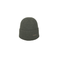 410020585 afbeelding