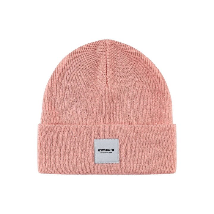 410020587 afbeelding