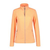  Ilvesoja Midlayer afbeelding