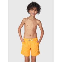 Hestey Boys Swimshort afbeelding