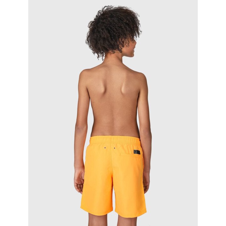 Hestey Boys Swimshort afbeelding