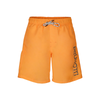 Hestey Boys Swimshort afbeelding