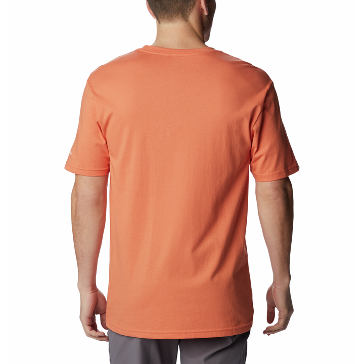 Path Lake Graphic Tee II Men afbeelding